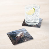 Untersetzer für die gemeinsame Dolphin-Oberfläche (Vor Ort)