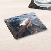 Untersetzer für die gemeinsame Dolphin-Oberfläche (angewinkelt)