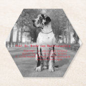 Untersetzer für Fotografen (Vorderseite)