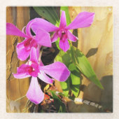 Untersetzer für Orchid (Vorderseite)