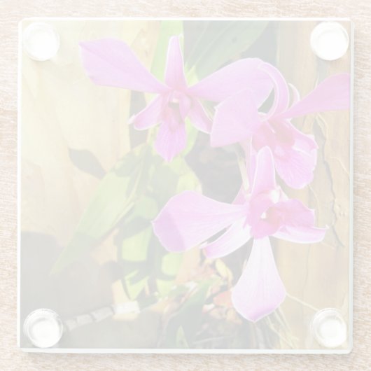 Untersetzer für Orchid (Rückseite)