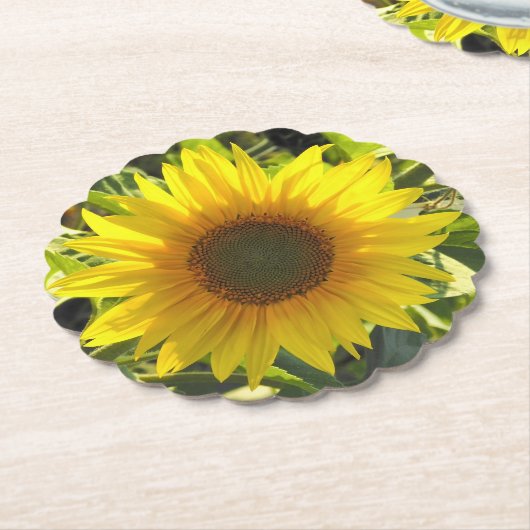 Untersetzer für Sonnenblumen (angewinkelt)