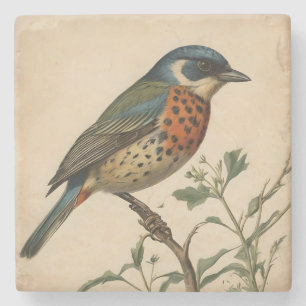 Untersetzer für Vintage Vogeldrucksteine