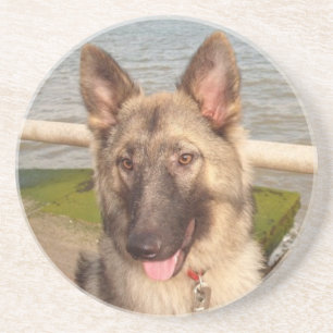 Untersetzer German Shepherd