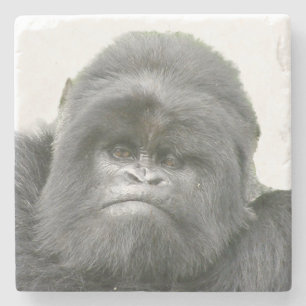 Untersetzer Gorilla Silverback Stone