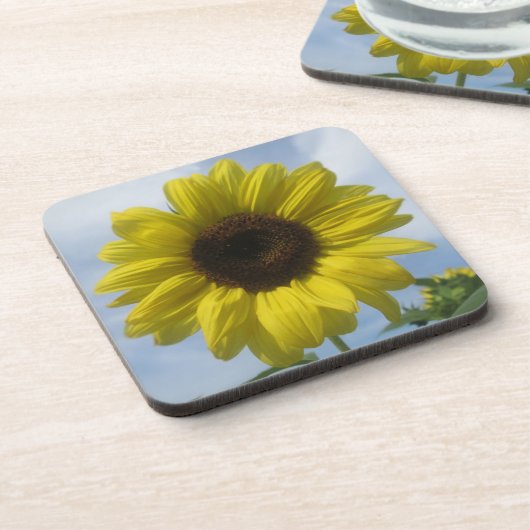 Untersetzer - Hartplastik - Sonnenblumen Sommerhim (Linke Seite)