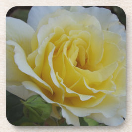 Untersetzer in Weiß und Gelb