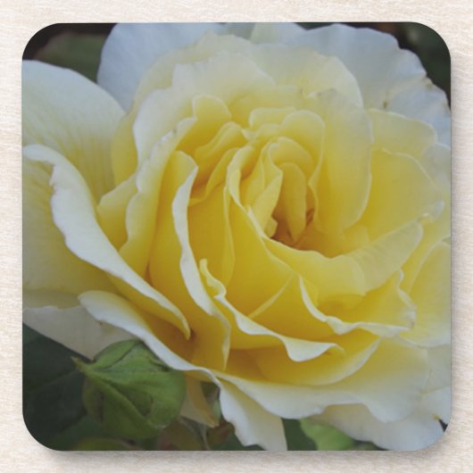 Untersetzer in Weiß und Gelb (Vorderseite)