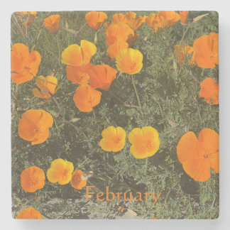 UNTERSETZER KALIFORNIEN: JANUAR STONE UNTERSETZER