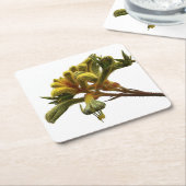 Untersetzer - Kangaroo Paw (angewinkelt)