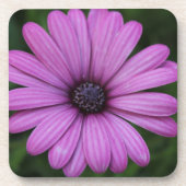 Untersetzer lila Blume (Vorderseite)