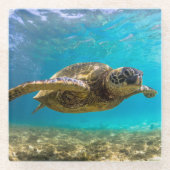 Untersetzer-Meeresschildkröte Glasuntersetzer (Vorderseite)