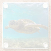 Untersetzer-Meeresschildkröte Glasuntersetzer (Rückseite)