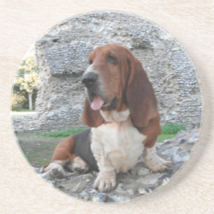 Untersetzer mit Basset-Hund-Burg-Ruine-Besuch