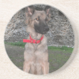 Untersetzer mit deutschem Schäferhund