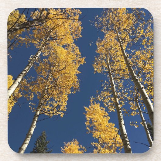 Untersetzer mit farbenfrohen Farben (Vorderseite)