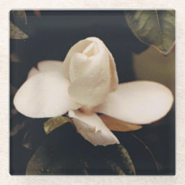 Untersetzer mit Magnolia Blossom Design