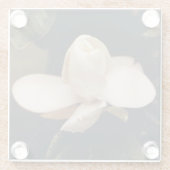 Untersetzer mit Magnolia Blossom Design (Rückseite)