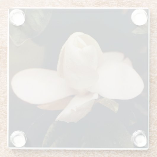 Untersetzer mit Magnolia Blossom Design (Rückseite)