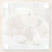 Untersetzer mit Portrait des Goldenen Retriever (Rückseite)