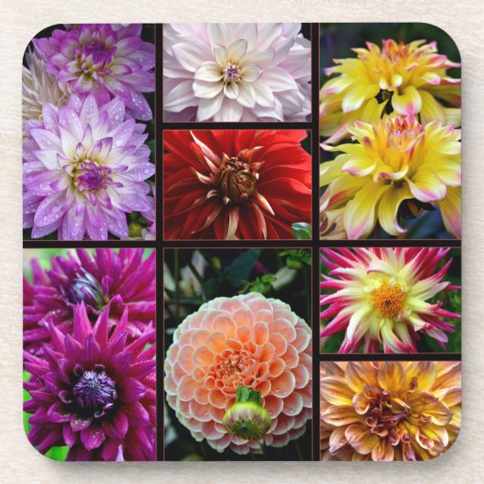 Untersetzer mit schönen bunten Dahlien (Vorderseite)