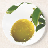 Untersetzer - Nasslemon (Vorne)