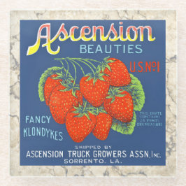 UNTERSETZER - Panoramaauties - Kratzeretikett hers