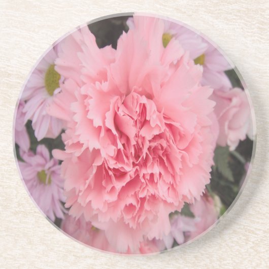 Untersetzer Pink Carnation Beauty (Vorne)