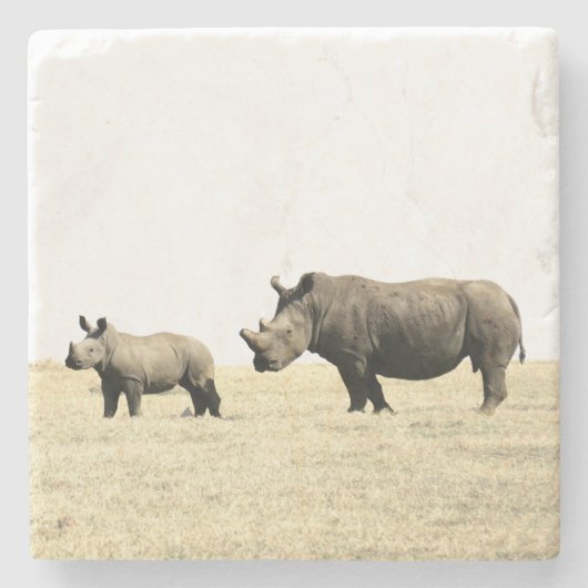 Untersetzer Rhino und Calf Stone (Vorderseite)