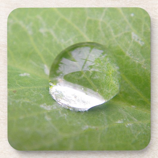 Untersetzer riesiger Wasserfall auf grünem Blatt (Vorderseite)
