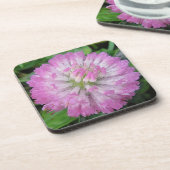 Untersetzer rosa Cloverblossom mit Wassertropfen (Linke Seite)