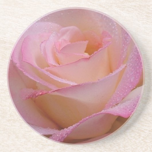 Untersetzer Schöne Rosa Rose (Vorne)