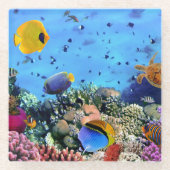 Untersetzer-See-Leben Glasuntersetzer (Vorderseite)