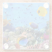 Untersetzer-See-Leben Glasuntersetzer (Rückseite)