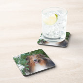 Untersetzer - Set 6 - mit Sheltie (Rechte Seite)