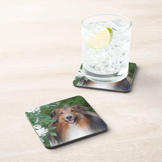 Untersetzer - Set 6 - mit Sheltie (Rechte Seite)
