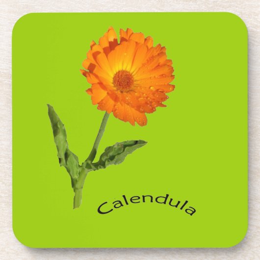 Untersetzer Set - Calendula (Vorderseite)