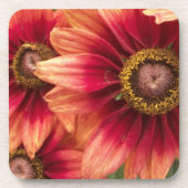 Untersetzer Set Fall Blume (Vorderseite)