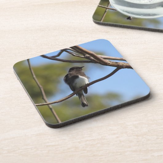 Untersetzer Set - Flügelfänger (Linke Seite)