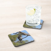 Untersetzer Set - Flügelfänger (Rechte Seite)