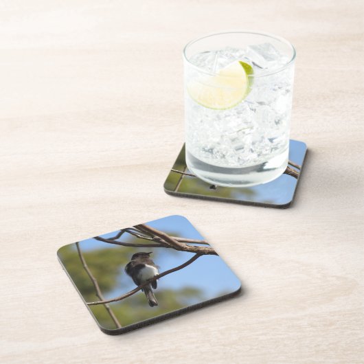 Untersetzer Set - Flügelfänger (Rechte Seite)