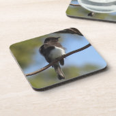 Untersetzer Set - Flycatcher Nah-up (Linke Seite)