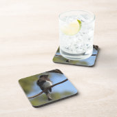 Untersetzer Set - Flycatcher Nah-up (Rechte Seite)