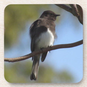 Untersetzer Set - Flycatcher Nah-up