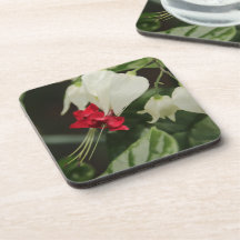 Untersetzer-Set für tropische Blume