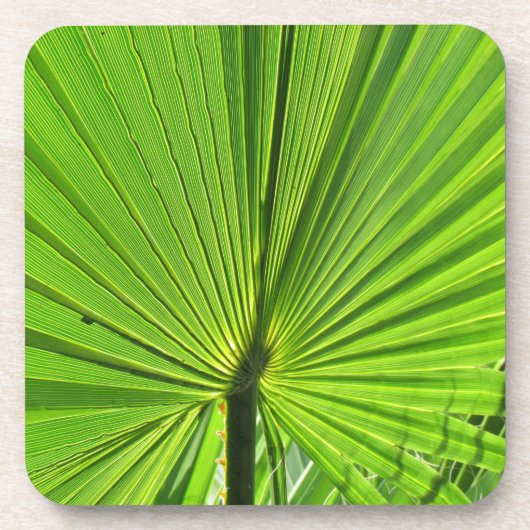 Untersetzer Set - Grünpalmenblättrig (Vorderseite)