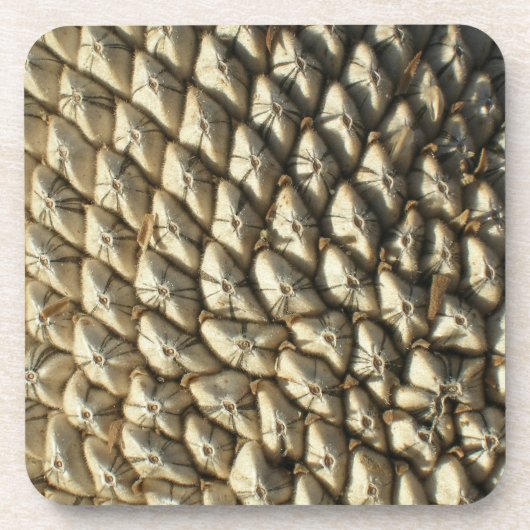 Untersetzer Set - Sonnenblumenkerne (Vorderseite)