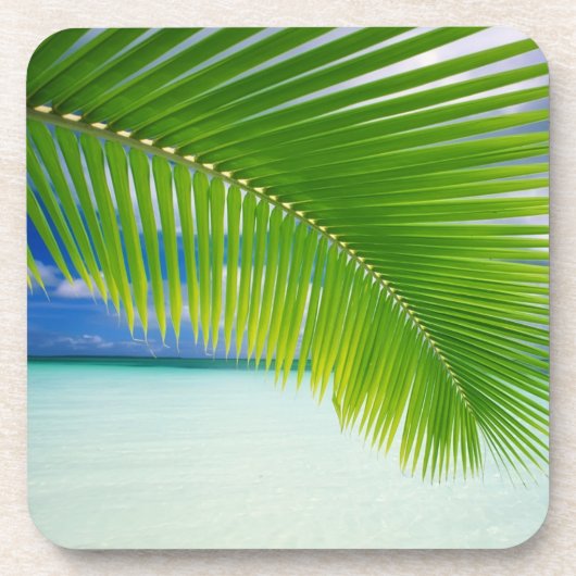 Untersetzer Set-Tropics (Vorderseite)