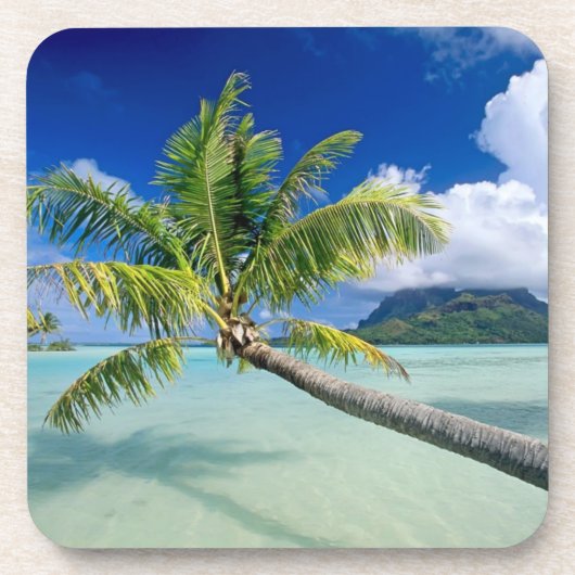 Untersetzer Set-Tropics (Vorderseite)