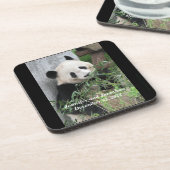 Untersetzer, Set von 6, Panda Getränkeuntersetzer (Linke Seite)